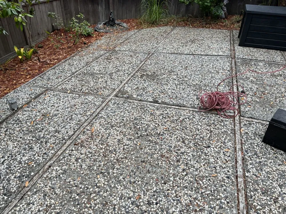 Expert yard maintenance experts serving San Rafael, CA - Francisco's Gardening and Maintenance