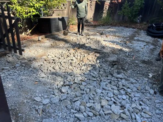 Francisco's Gardening and Maintenance