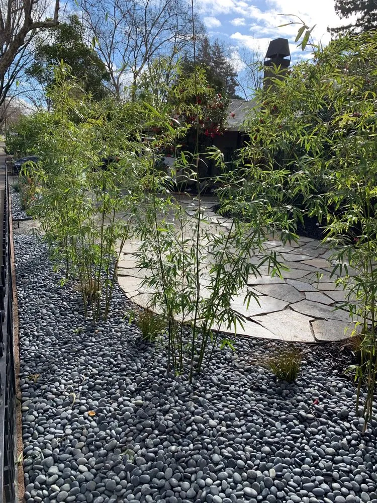 Affordable residential landscaping with custom design across Napa, CA - Francisco's Landscape