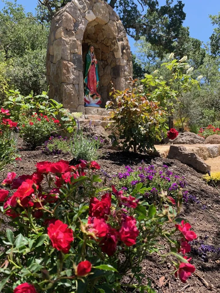 Reliable landscaping services with custom design across Napa, CA - Francisco's Landscape