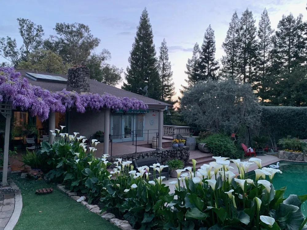 Top-rated landscaping services for homes in Napa, CA by Francisco's Landscape