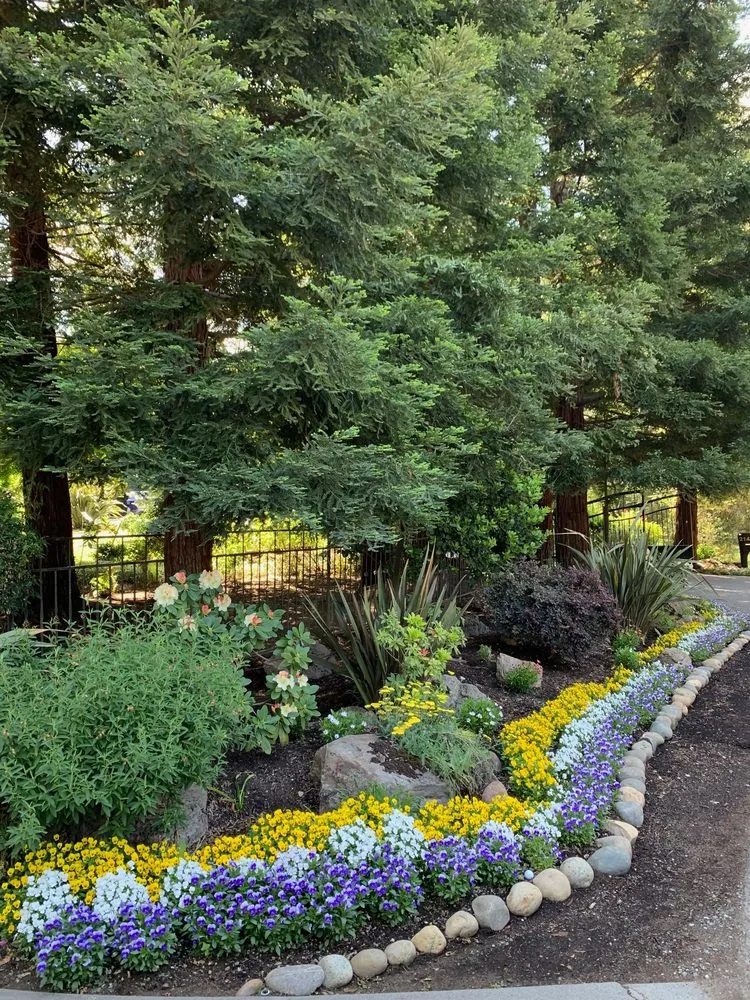 Expert yard maintenance for outdoor upgrades across Napa, CA - Francisco's Landscape