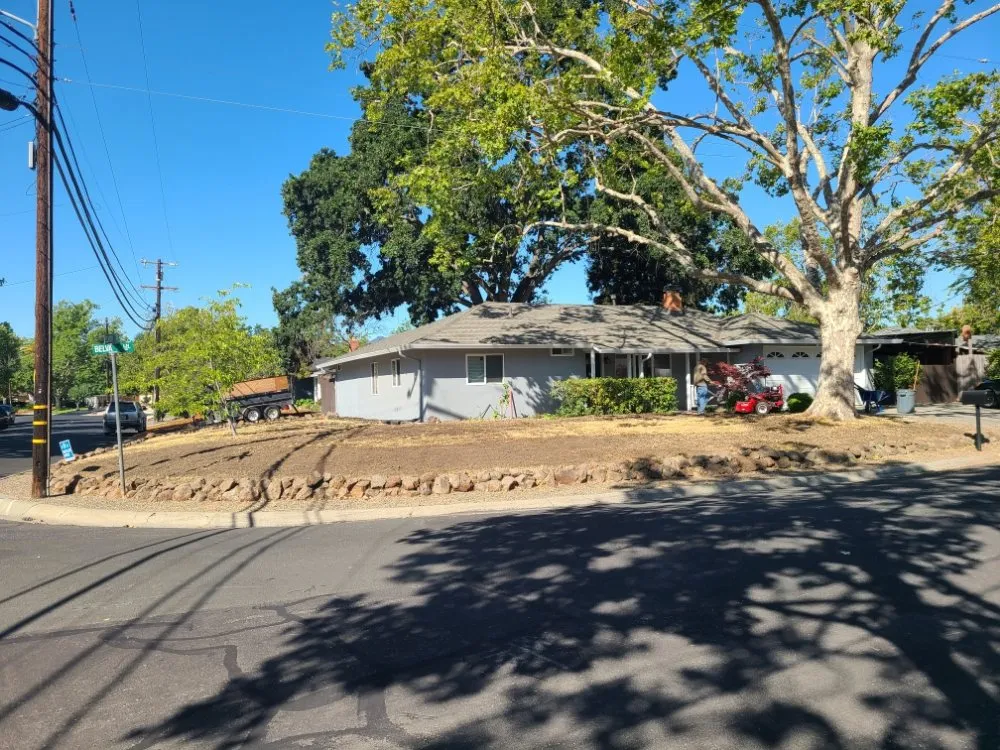 Custom lawn care service for year-round maintenance in Concord, CA by Francisco's Landscaping