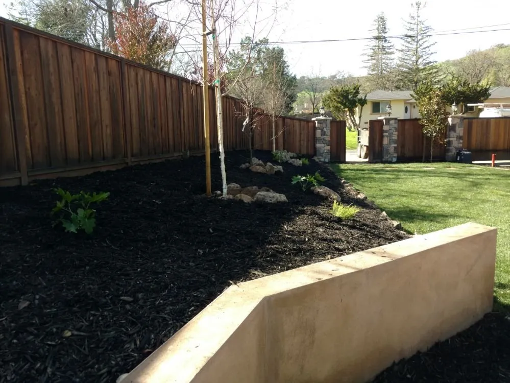 Local outdoor landscaping near you across Concord, CA - Francisco's Landscaping