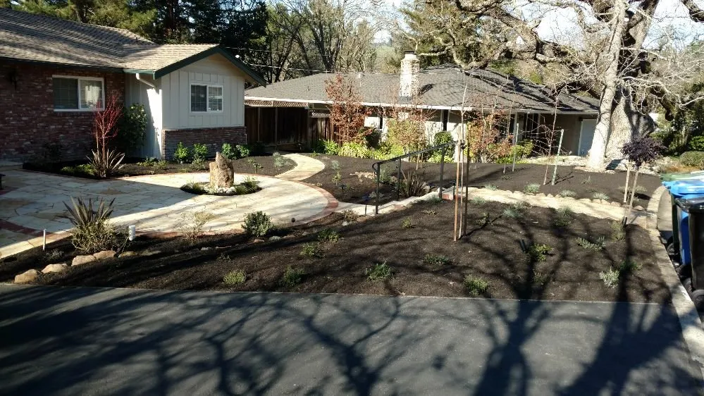 Reliable yard maintenance in Concord, CA - Francisco's Landscaping