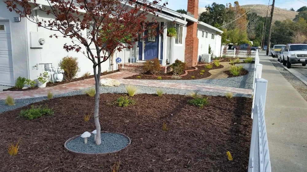 Professional yard maintenance in Concord, CA - Francisco's Landscaping