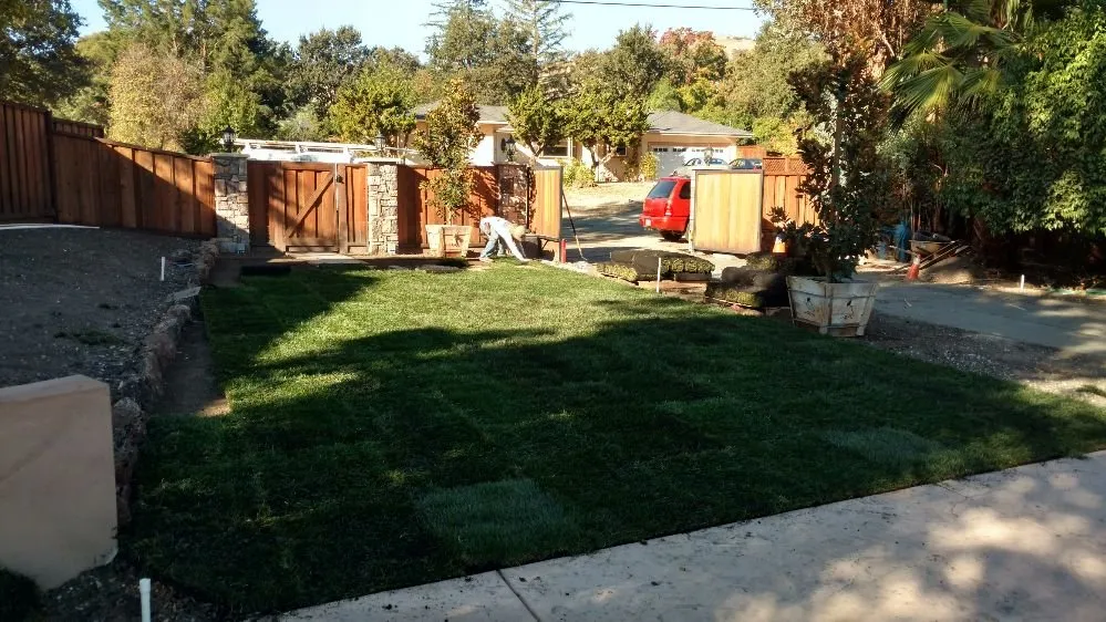 Affordable yard cleanup service in Concord, CA - Francisco's Landscaping