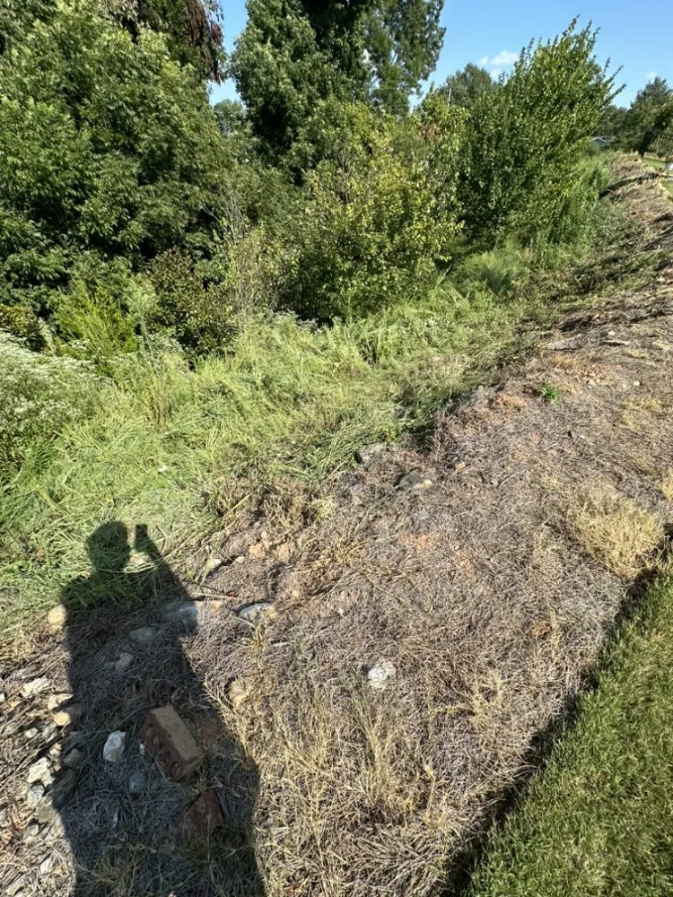 Trusted outdoor landscaping for residential properties in Cornelia, GA by Francisco’s Landscaping