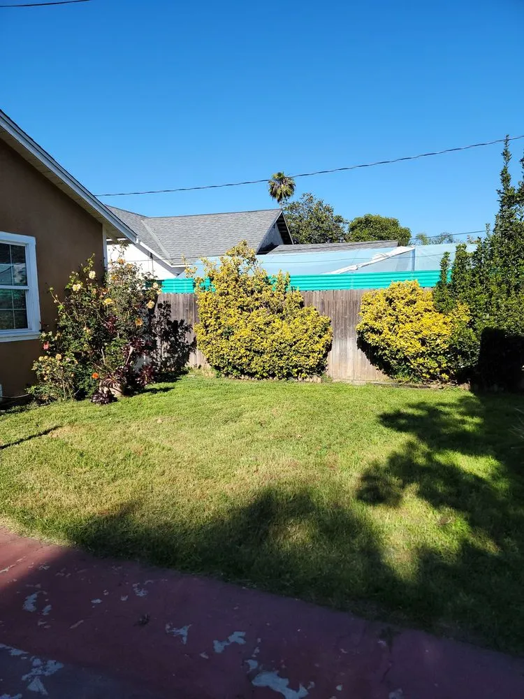 Trusted yard cleanup service for year-round maintenance across Lawndale, CA - Franciscos Landscaping