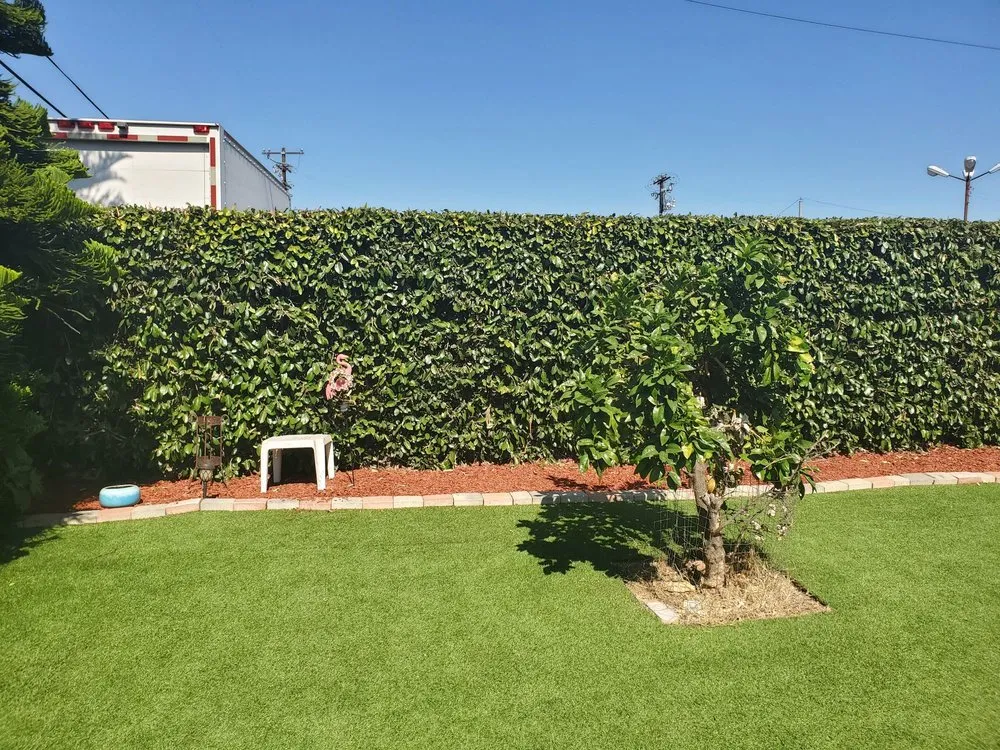 Custom landscape design for homes across Lawndale, CA - Franciscos Landscaping