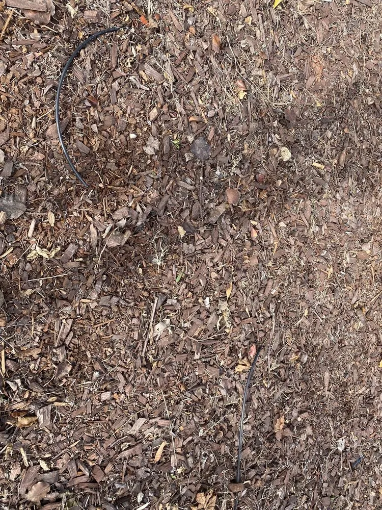 Top-rated landscape installation in Lawndale, CA - Franciscos Landscaping