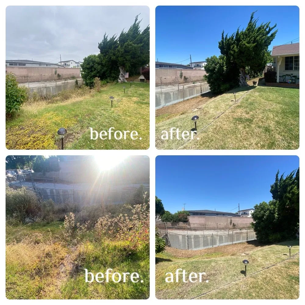 Trusted landscaping services for beautiful yards across Lawndale, CA - Franciscos Landscaping