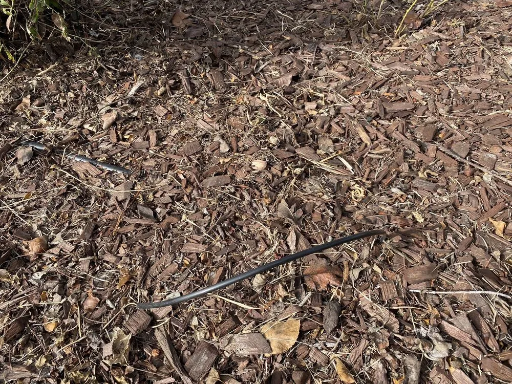 Trusted garden landscaping in Lawndale, CA - Franciscos Landscaping