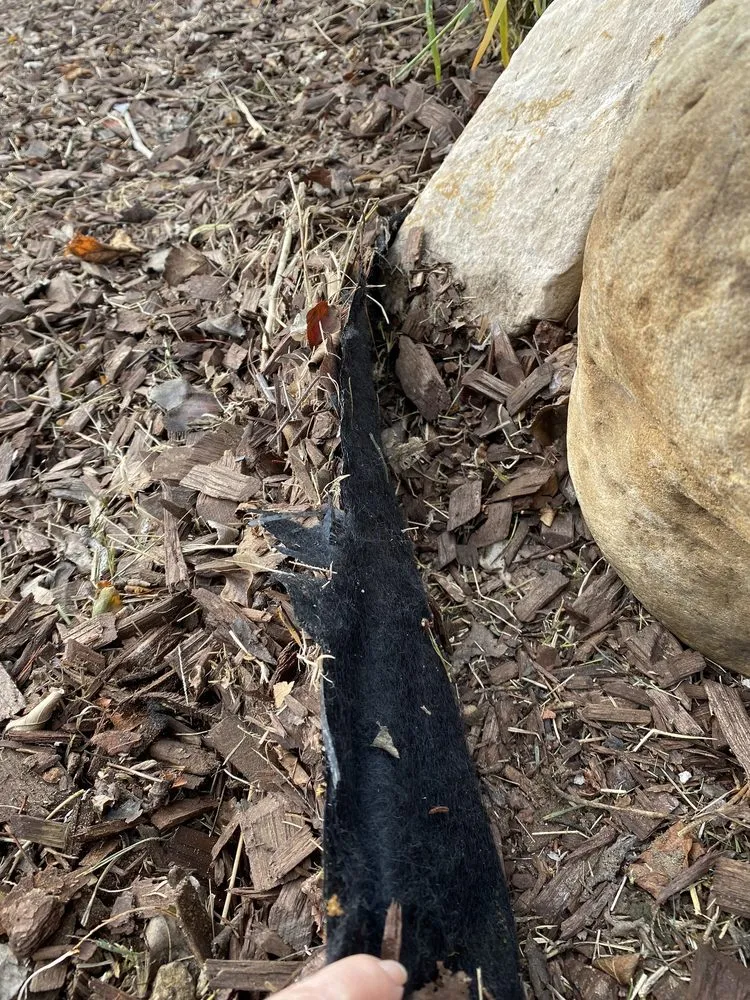 Top-rated outdoor landscaping in Lawndale, CA - Franciscos Landscaping