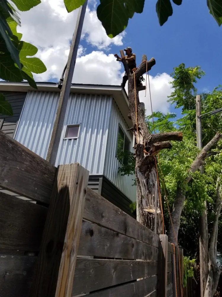 Trusted garden landscaping in Austin, TX - Francisco's Landscaping Services