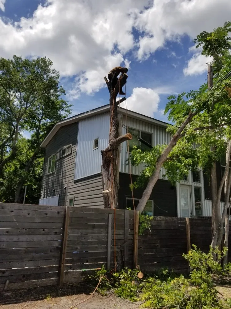 Professional landscaping services for residential properties in Austin, TX by Francisco's Landscaping Services