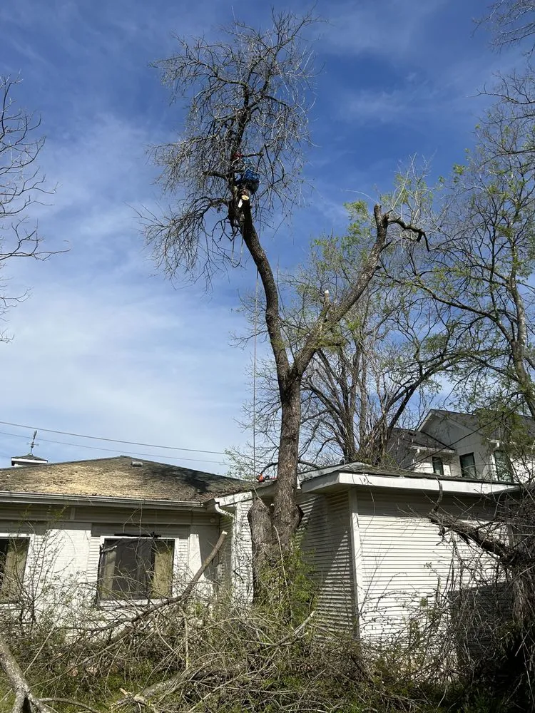 Top-rated landscape design in Austin, TX by Francisco's Landscaping Services