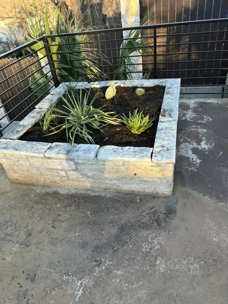 Custom residential landscaping for year-round maintenance across Austin, TX - Francisco's Landscaping Services