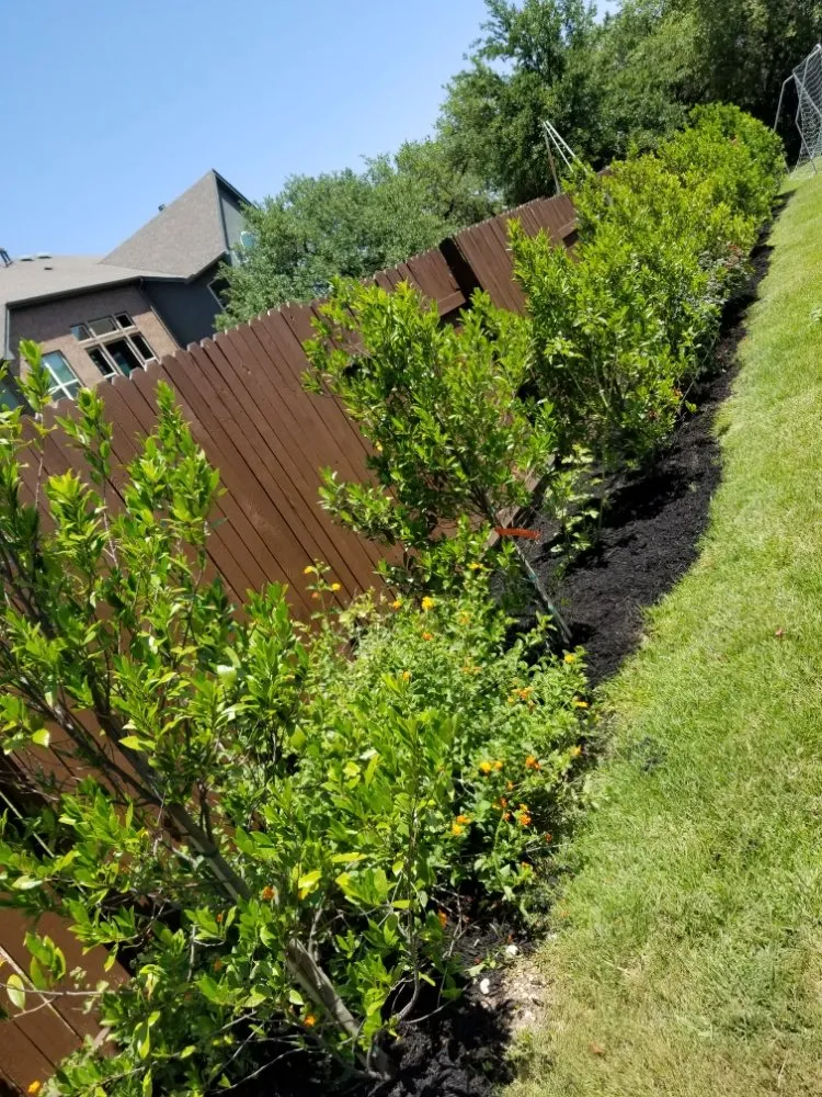 Trusted garden landscaping in Austin, TX - Francisco's Landscaping Services