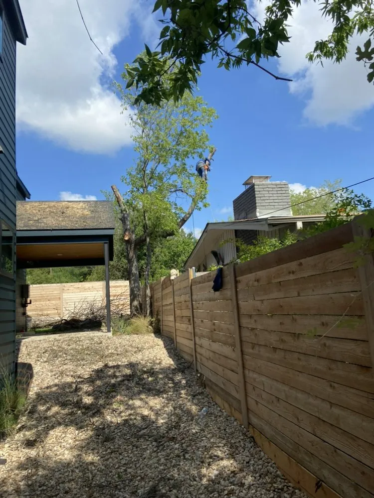 Expert landscape design in Austin, TX - Francisco's Landscaping Services