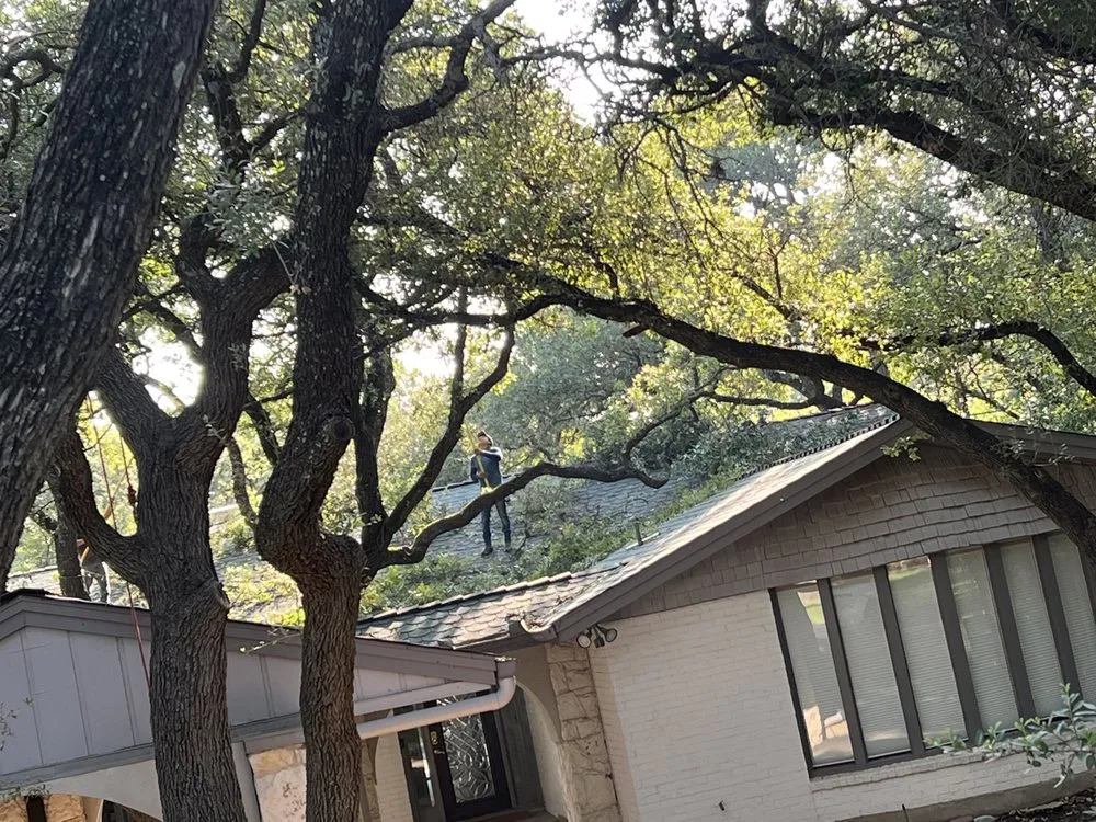 Reliable lawn care service for beautiful yards across Austin, TX - Francisco's Landscaping Services