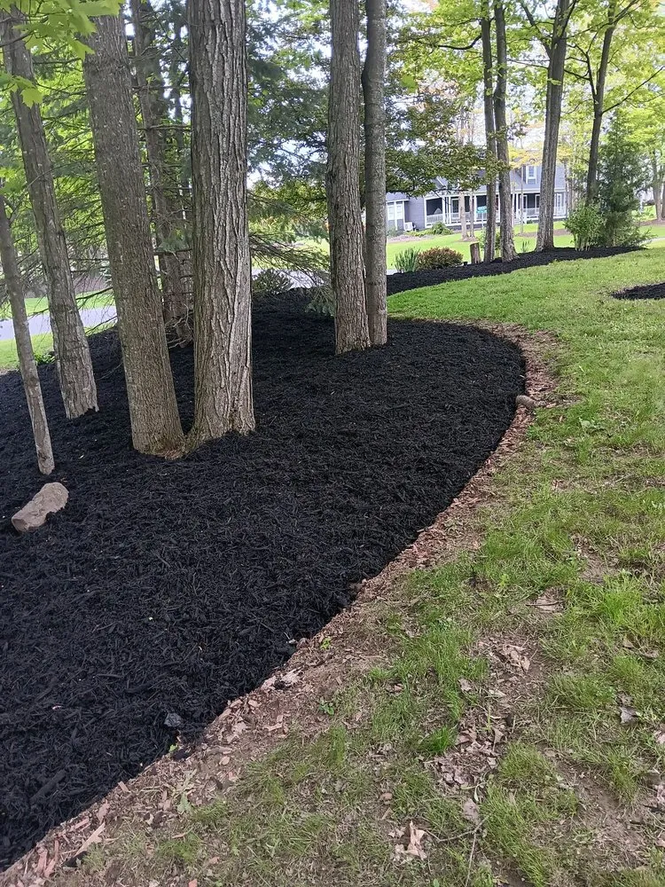 Trusted lawn mowing service in Syracuse, NY - Franciscos Landscaping