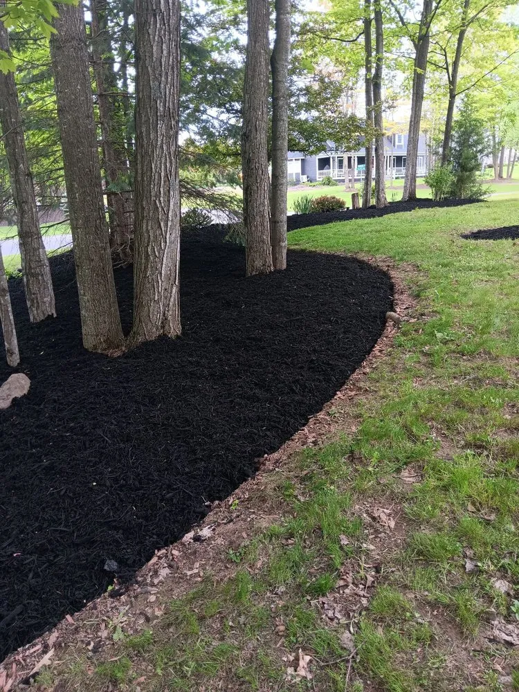 Affordable lawn mowing service for residential properties in Syracuse, NY by Franciscos Landscaping