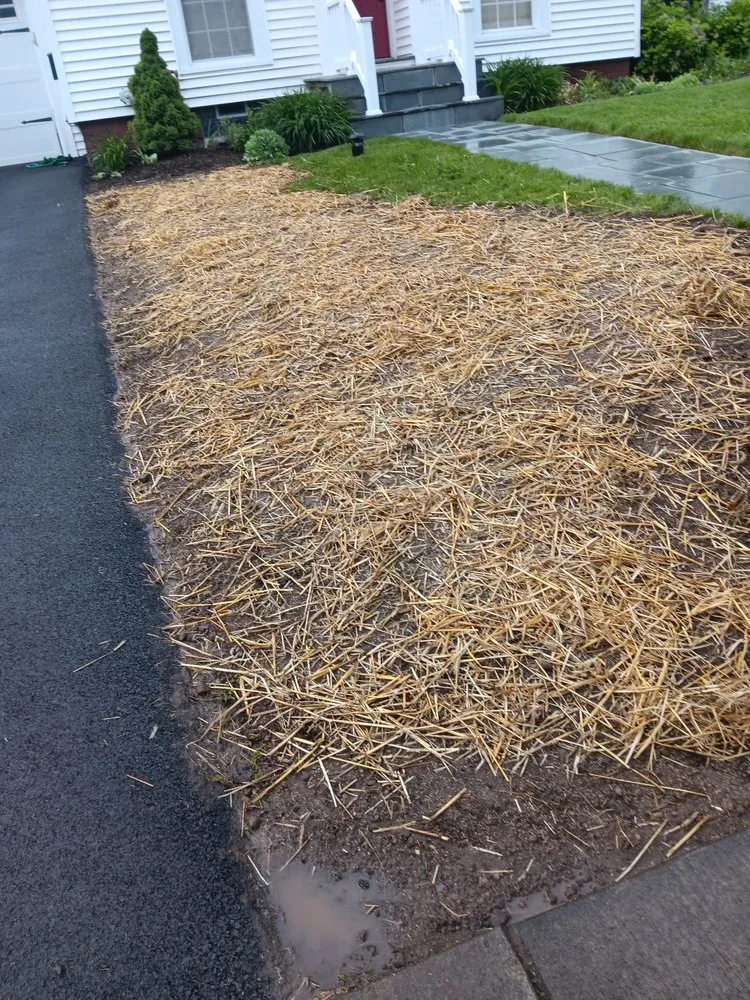 Professional landscape installation for outdoor upgrades in Syracuse, NY by Franciscos Landscaping