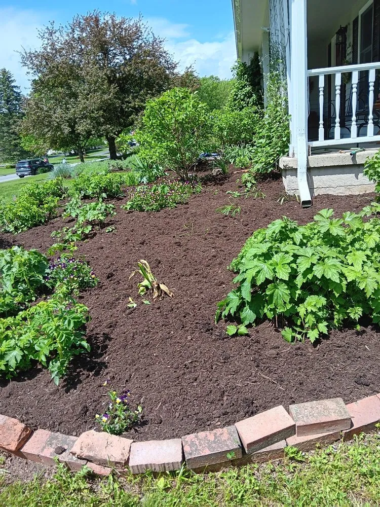 Affordable landscaping services for year-round maintenance in Syracuse, NY by Franciscos Landscaping
