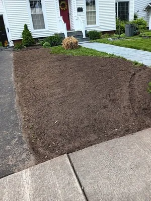 Franciscos Landscaping