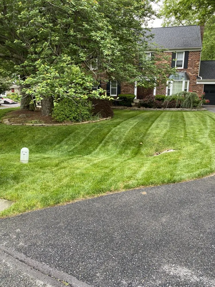 Expert yard cleanup service in Wheaton, MD - Francisco’s Landscaping