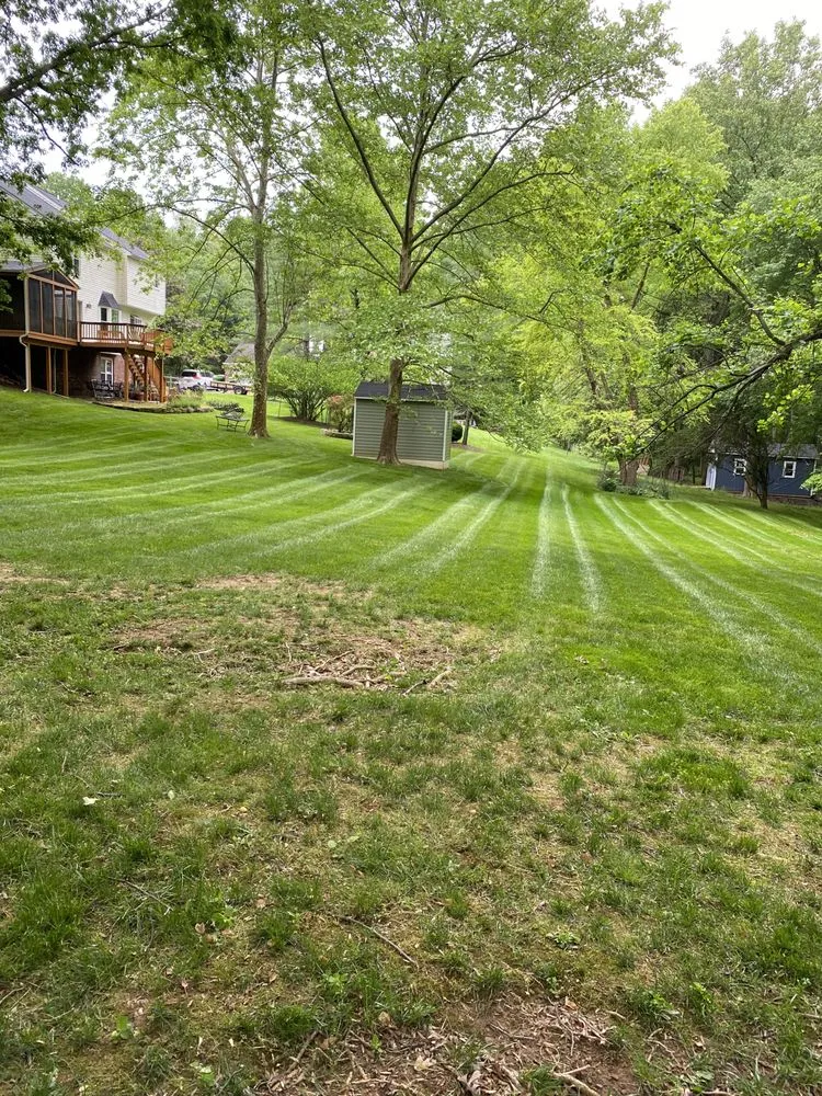 Expert landscape design with custom design in Wheaton, MD by Francisco’s Landscaping