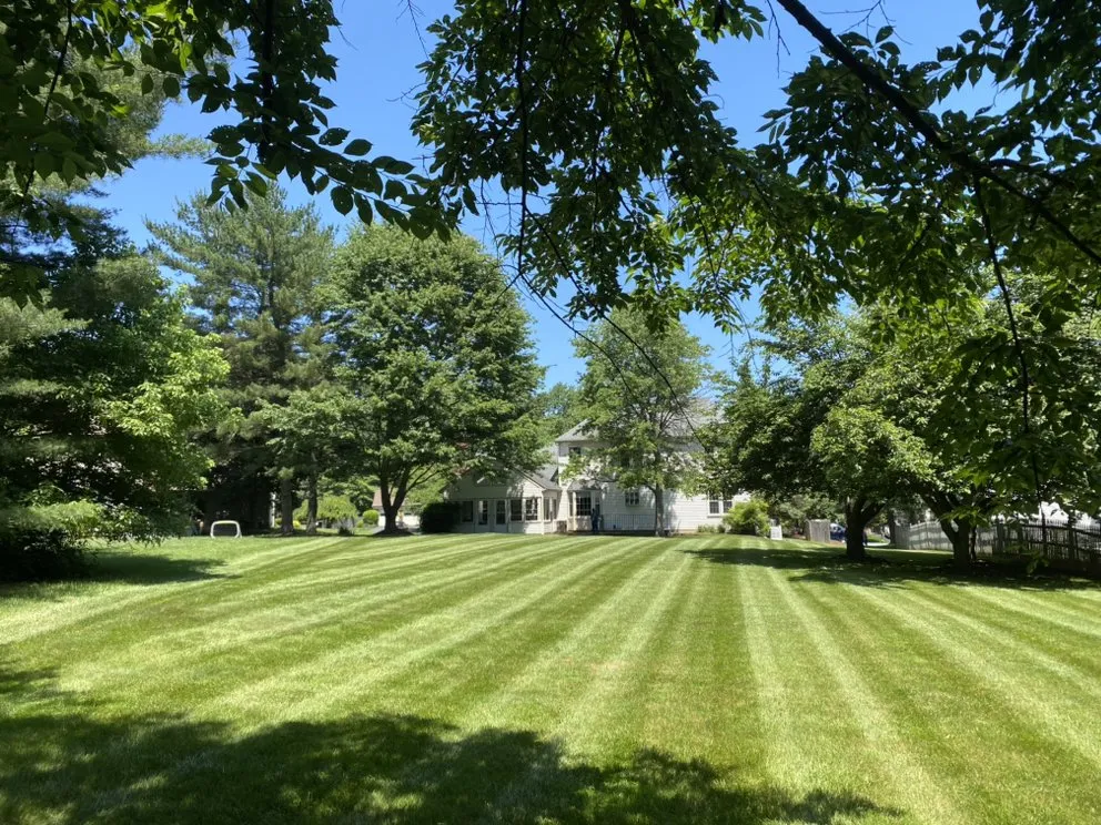 Expert landscape installation experts serving Wheaton, MD - Francisco’s Landscaping