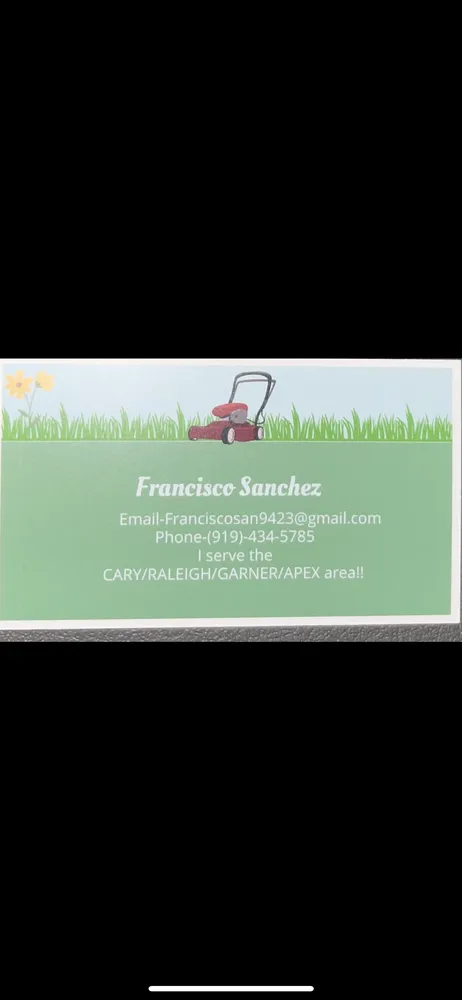 Expert yard maintenance for year-round maintenance across Cary, NC - Francisco’s Lawn Care