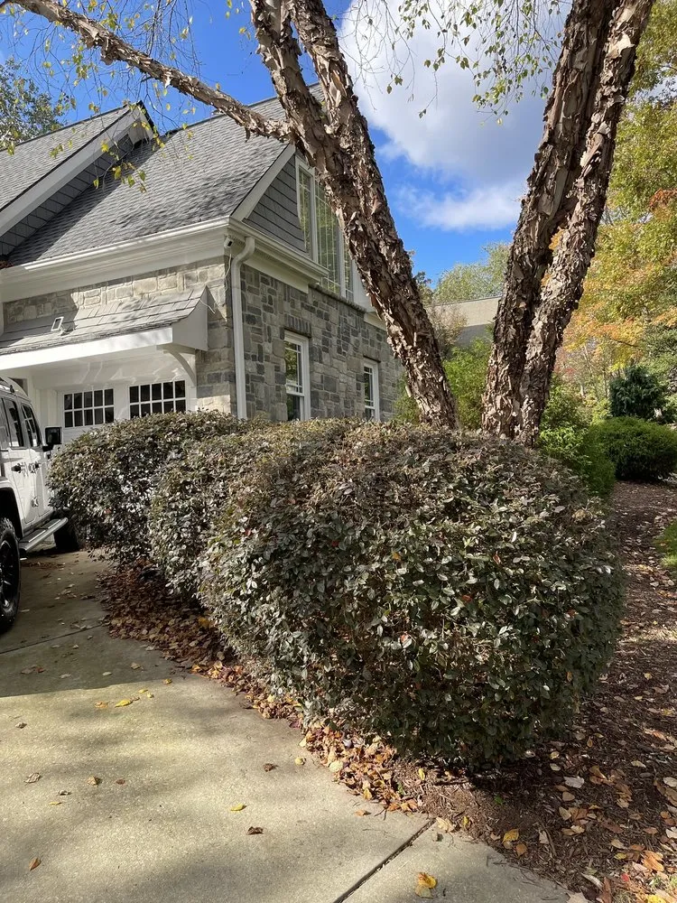 Top-rated landscape design with custom design across Cary, NC - Francisco’s Lawn Care