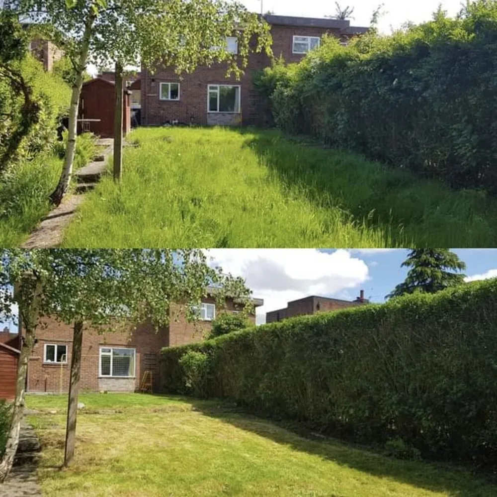 Professional yard cleanup service for year-round maintenance in Cary, NC by Francisco’s Lawn Care