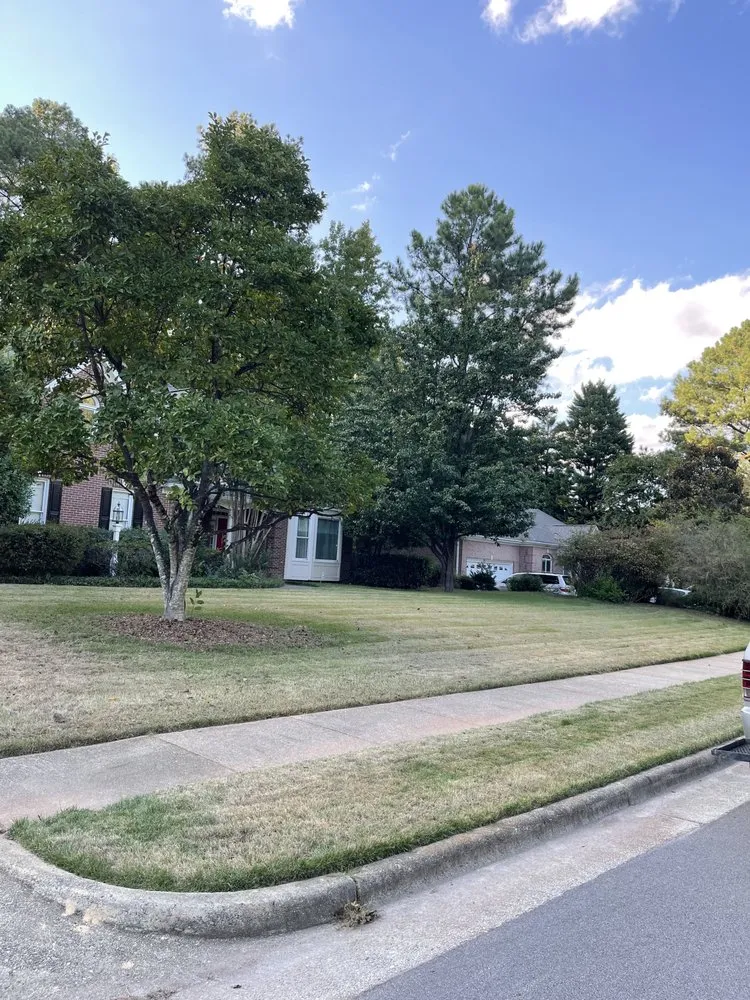 Top-rated yard cleanup service in Cary, NC - Francisco’s Lawn Care