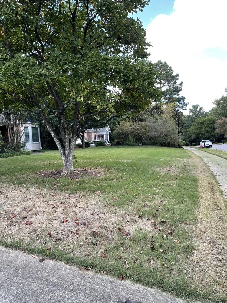 Top-rated residential landscaping for homes across Cary, NC - Francisco’s Lawn Care