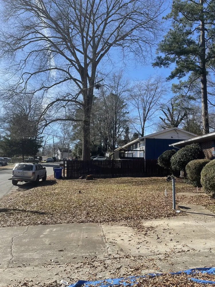 Top-rated yard cleanup service for outdoor upgrades in Cary, NC by Francisco’s Lawn Care