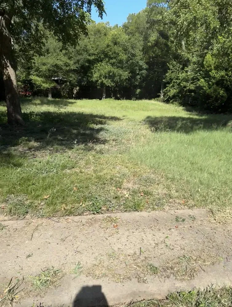 Reliable yard cleanup service for year-round maintenance in Lancaster, TX by Francisco’s lawn services