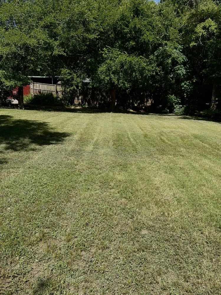 Reliable yard cleanup service for residential properties across Lancaster, TX - Francisco’s lawn services