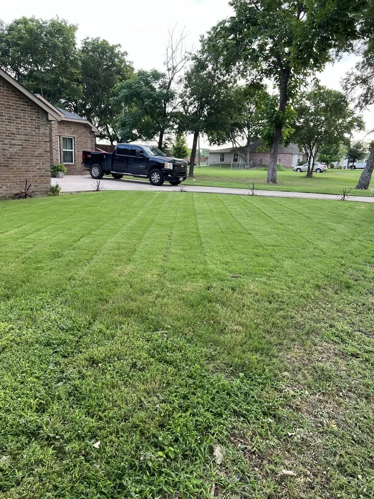 Expert yard maintenance for beautiful yards in Lancaster, TX by Francisco’s lawn services