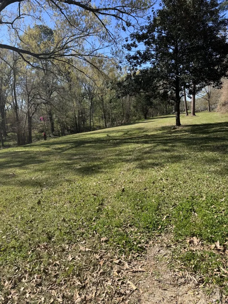 Professional landscape design for outdoor upgrades across Baton Rouge, LA - Francisco's Lawncare Service