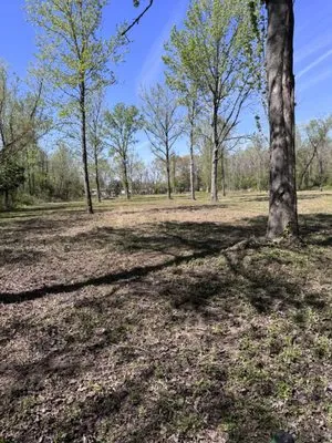 Francisco's Lawncare Service Logo