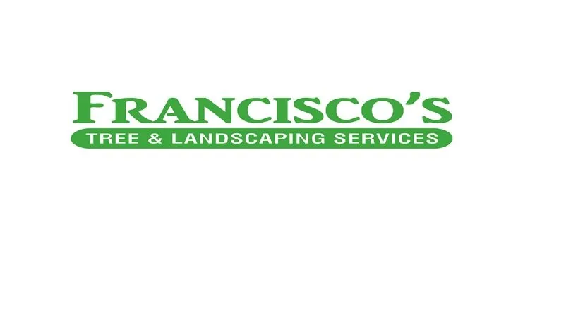 Professional lawn care service in Omaha, NE by Francisco's Tree & Landscaping Services