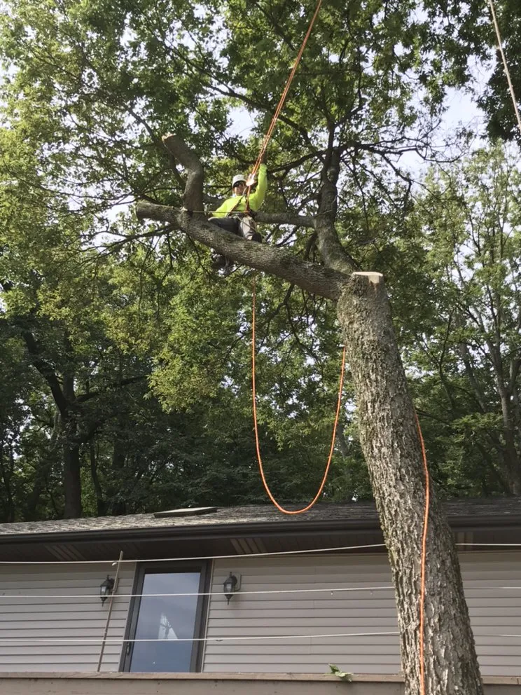 Professional landscape installation experts serving Omaha, NE - Francisco's Tree & Landscaping Services