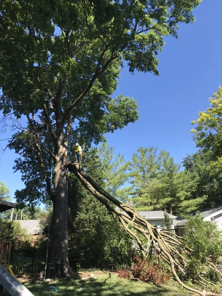 Affordable outdoor landscaping in Omaha, NE by Francisco's Tree & Landscaping Services