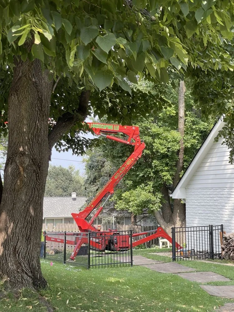 Local yard maintenance experts serving Omaha, NE - Francisco's Tree & Landscaping Services