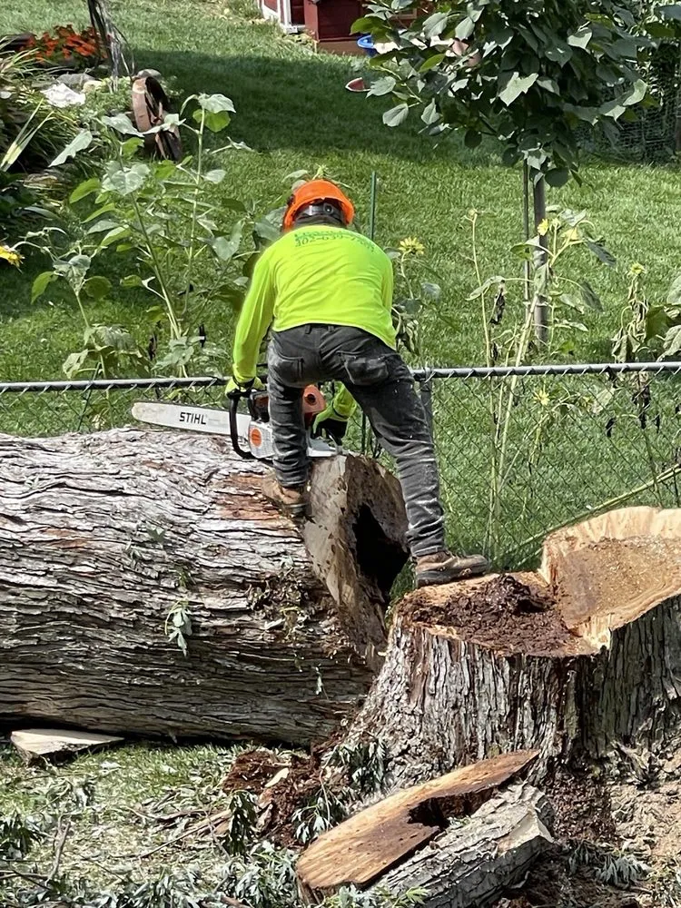 Custom outdoor landscaping for residential properties across Omaha, NE - Francisco's Tree & Landscaping Services