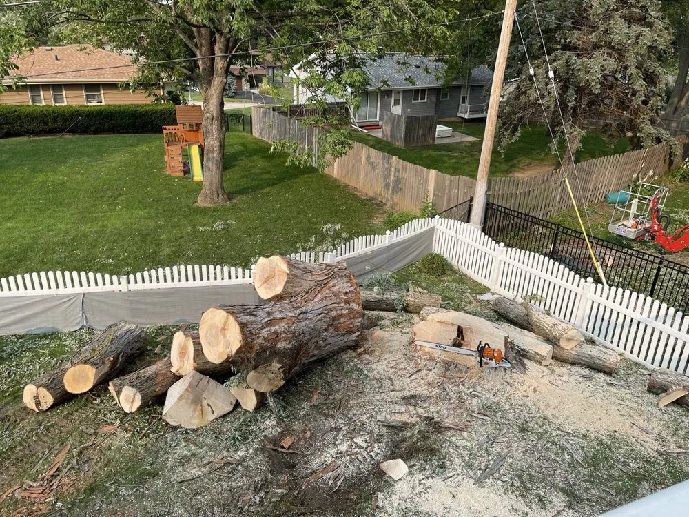 Expert yard maintenance in Omaha, NE - Francisco's Tree & Landscaping Services